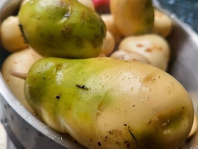 4 loại rau củ độc hại gây hại cho sức khỏe và nội tạng của bạn - Ảnh 1.