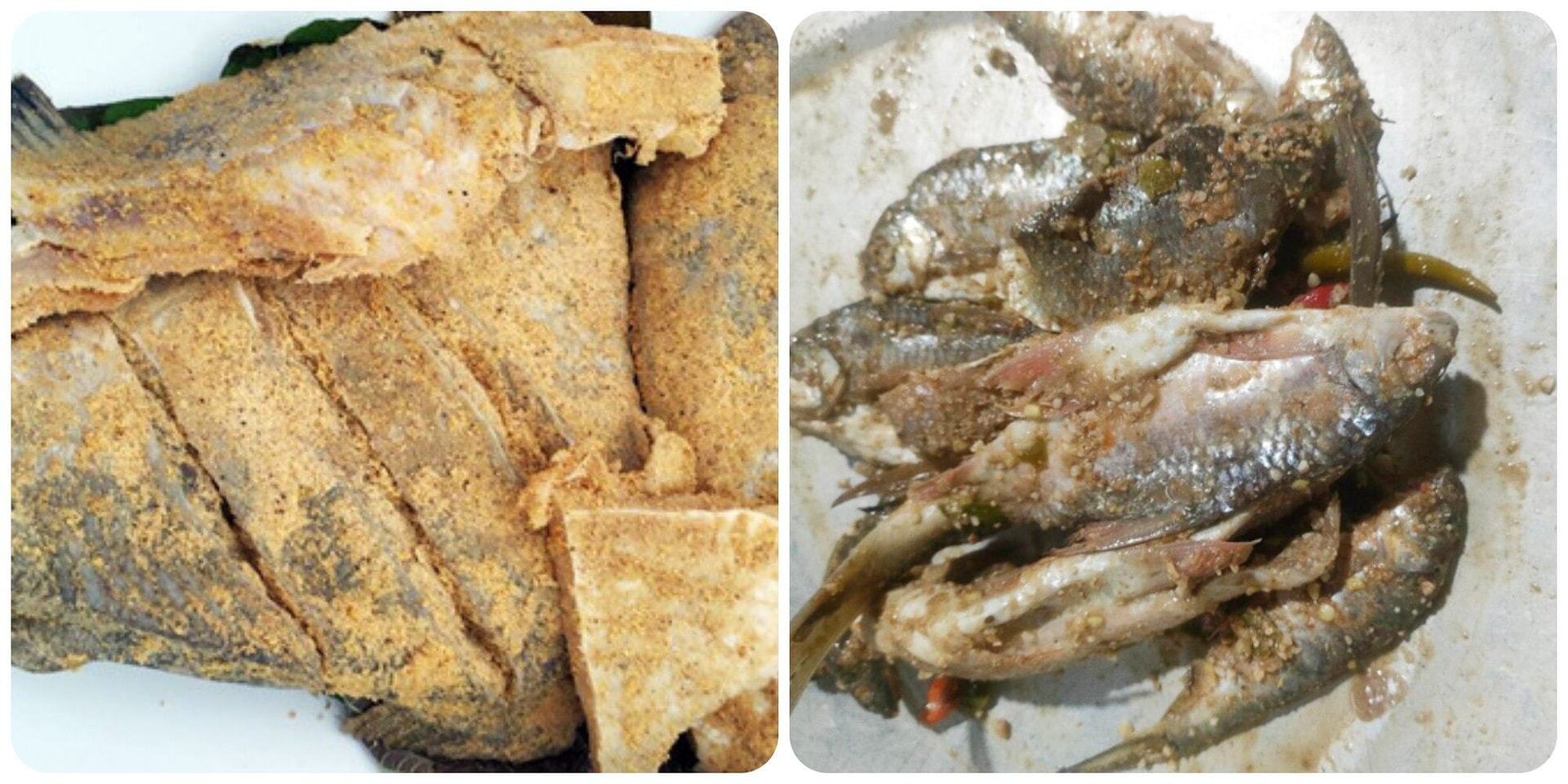 Ngộ độc nặng, tử vong chỉ vì ăn cá chép được chế biến kiểu này: Chuyên gia chỉ cách 