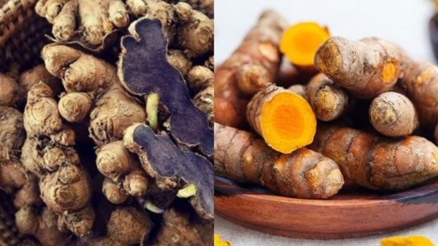Nghệ đen, nghệ vàng đều là những dược liệu quý nhưng chúng có những công dụng và cách dùng khác nhau