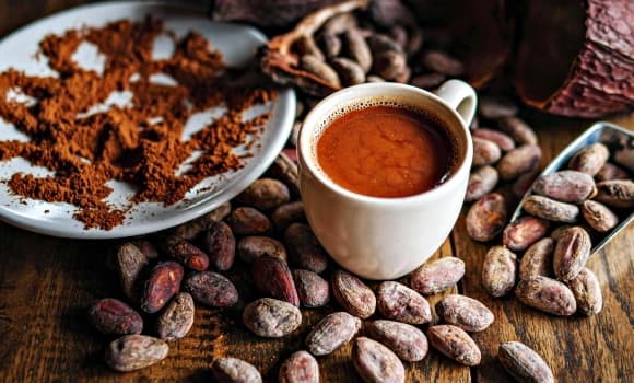 Nhóm nghiên cứu tiến hành khảo sát trên 40 nam thanh niên khỏe mạnh, chia thành hai nhóm: một nhóm uống cacao nóng chứa hàm lượng flavanol cao (khoảng 695mg), nhóm còn lại uống một loại đồ uống khác. Cả hai nhóm được yêu cầu ngồi yên trong vòng hai giờ. 