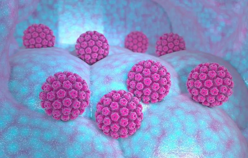 virus hpv